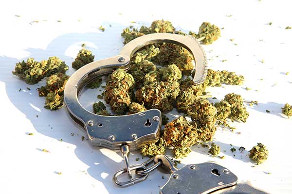 pile of marijuana with handcuffs on top
